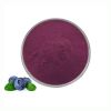 Natural Food Grade Blueberry Fruit Powder Organic Blueberry Juice Powder