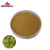 Best Price Horsetail Extract Nutritional Supplement Horsetail Extract Powder
