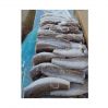 Frozen Seafood Hake Fish HGT / Whole Fish For Sale