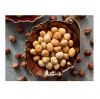 Roasted Hazelnuts Blanched Hazelnuts Organic Dried Hazel Nuts