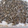 human type quality dried  black and white striped sunflower seeds wholesale for sale Sunflower Seed 361 Max Black