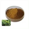 Supply Bulk Jiaogulan Leaf Gypenosides 20-98% Gynostemma Pentaphyllum Extract