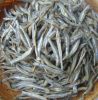 bulk suppliers salted dried fish frozen anchovy best quality  anchovies dried  for sale salted anchovy fillets