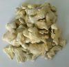 wholesale organic fresh yellow ginger exporter with good price fresh ginger indonesian  yellow white ginger