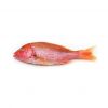 Experience competitive price variety products IQF seafood companies SFF Frozen Wild Caught Red Snapper Sea Fish