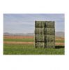 Best Price Alfalfa Hay Grass / Alfalfa Hay Bales Bulk Stock Available With Customized Packing