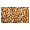 Whole Bulk Blanched Peanut Ground Nuts