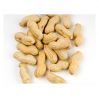 Whole Bulk Blanched Peanut Ground Nuts