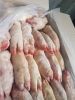 Wholesale United States Frozen Pork Hind Feet Short Cut