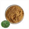 High Quality Hoodia Gordonii Cactus Root Extract Natural 10:1 Cactus Extract Powder