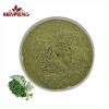 High Quality Kale Juice Powder Organic Kale Powder Food Grade