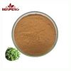 Best Price Alfalfa Extract Powder Alfalfa Leaf Extract Food Supplement