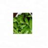 yellow split peas frozen vegetalbes green peas  white bulk Style storage dice packaging prompt organic frozen sugar snap peas