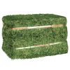 Alfalfa Hay at very cheap price / Quality Rhodes Grass Hay Alfalfa