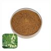 Bulk Natural Sophora Flavescens Root Extract Powder 10:1 Sophora Radix Extract