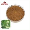 Bulk Natural Sophora Flavescens Root Extract Powder 10:1 Sophora Radix Extract