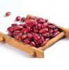 dried and raw dark red kidney sugar bean type small round best price wholesale export vigna beans for sale