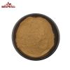 High Quality Cordyceps sinensis Extract powder Cordyceps Extract Polysaccharide 30%