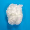 Polyester staple fiber...