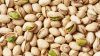 Pistachio Nuts with an...