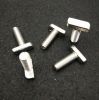 Stainless Steel T Bolts