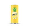 Manufacturer of Sparkling fruit juice drink- packing aluminium can from Viet Nam