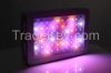 Plant grow light