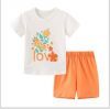 Baby T-shirts with Shorts