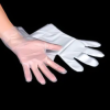 Disposable Gloves