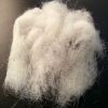 Wool Waste/ Noils