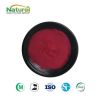 Best Beet Juice Powder