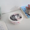 Exquisite Basket Anima...