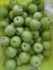 qinguan apple 