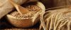 malt
