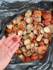 Mushrooms . Amanita mu...