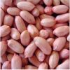 Java Pink Skin Peanut
