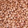 Superior Grade Groundnut kernels