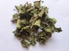 Dried Insulin Plant Leaves or Powder / Costus igneus