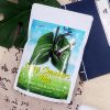 Winstown Lung Smoker's tea cleanse flower tea bag Natural herb organic redox care lungs detox tea for smokers