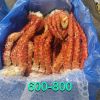 king crab