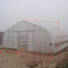 Single-span Plastic Film Greenhouse