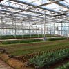 Agricultural Glass Com...