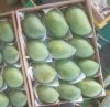 Fresh mango