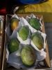 Fresh mango