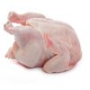 Frozen Chicken For Sale,Buy Frozen Chicken, Best Price Frozen Chicken, Wholesale Frozen Chicken