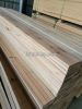Cedar Fence