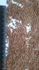 Flax seeds (brown) / F...