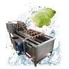automatic high speed bulbous vegetables washing and peeling machine 