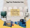 Hot sale egg cartons paper pulp nepal egg tray drying machine