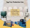 waste pulp paper recycle line egg tray making machine